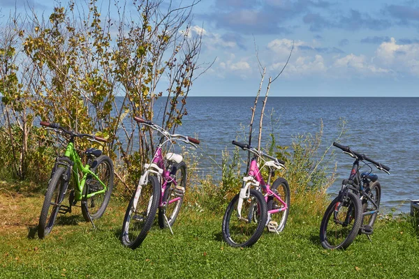 Curonian Spit, Rusya - 5 Ağustos 2020. Bir aile için bisikletler