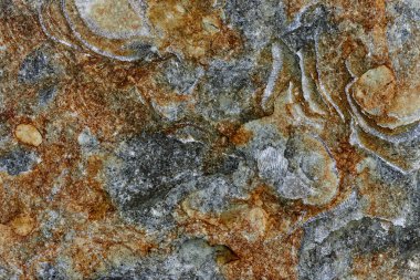 Taş dokusu fosillerle karışmış. Karmaşık arkaplan