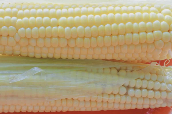 Cobs Young Sugar Boiled Corn Close — Stock Photo, Image
