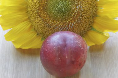 Tahtadaki ayçiçeğinin arka planında ektarin