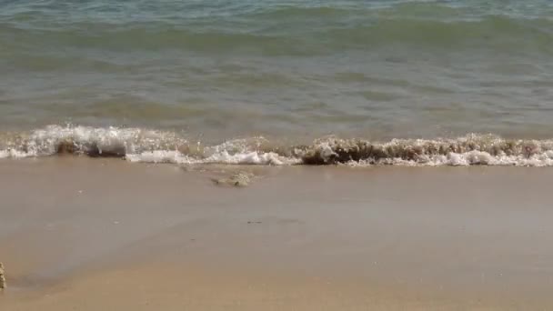 Pequenas Ondas Praia Arenosa — Vídeo de Stock