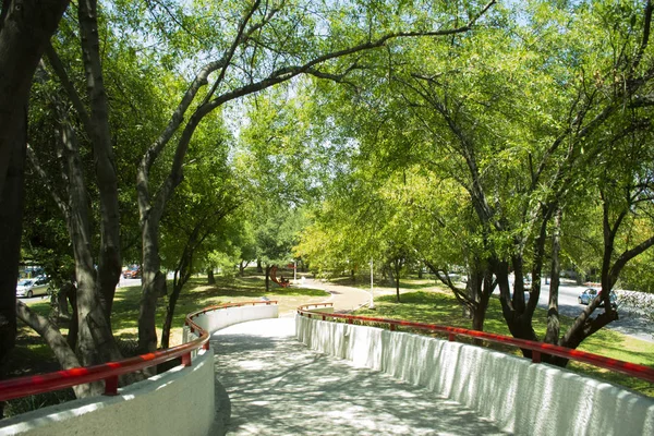 卡尔扎达圣佩德罗的绿树路 — 图库照片
