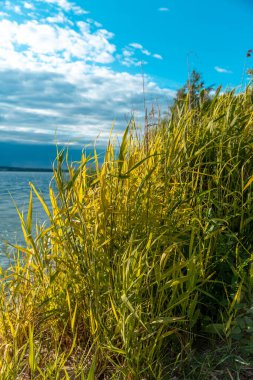 Küçük taşlarla kaplı plajın yüzey seviyesi