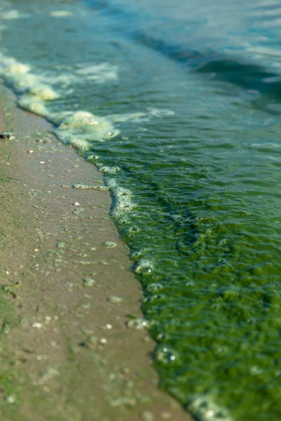 Povrch Pláži Malými Kameny — Stock fotografie