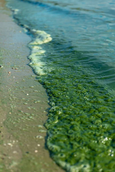 Strand Felszíni Szintje Kis Kövekkel — Stock Fotó