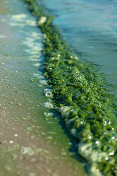 Poziom Powierzchni Plaży Małymi Kamieniami — Zdjęcie stockowe