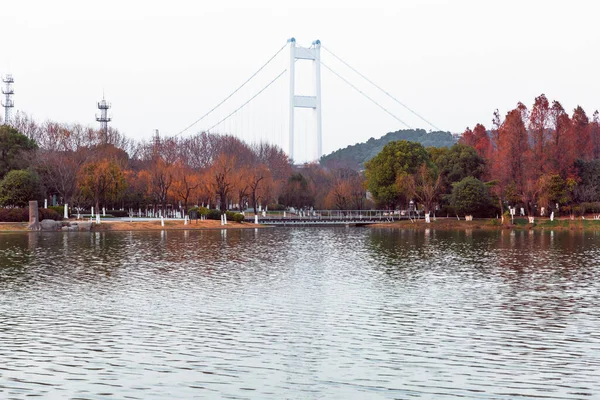 Podzimní Jezero Barevnými Stromy Mostem Pozadí — Stock fotografie