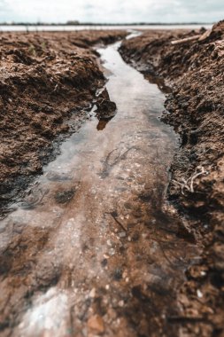 Nehre akan küçük akarsuyun yakın görüntüsü. 
