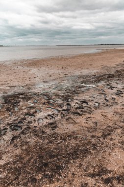 Kasvetli bir günde kumsalda çamurlu bir toprak