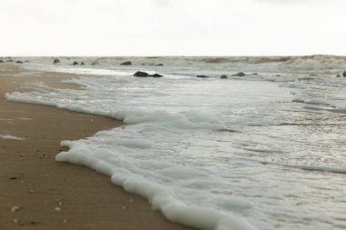 Deniz köpüklü kumlu güzel bir sahil manzarası