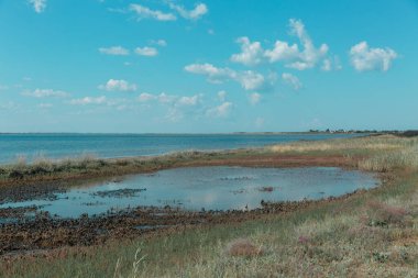 Nehir kıyısına yakın küçük bir göl. Etrafında çimenler ve toprak var. Arka planda mavi gökyüzü.