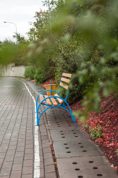 Empty Bench Wooden Elements Summer — Stock Photo, Image