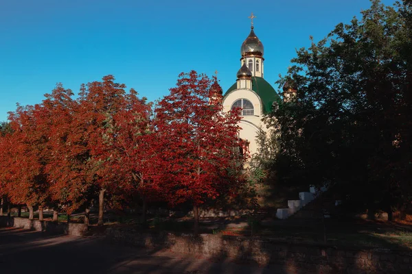 Östra Ortodoxa Kyrkan Täckt Träd Dag Blå Himmel Bakgrund — Stockfoto