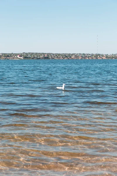 Paysage, rivière avec de l'eau bleue par une journée ensoleillée — Photo