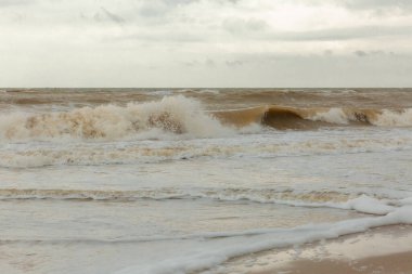 Kumsallı deniz manzarası ve sakin dalgalar