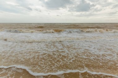 Kumsallı deniz manzarası ve sakin dalgalar