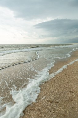 Kumsallı deniz manzarası ve sakin dalgalar
