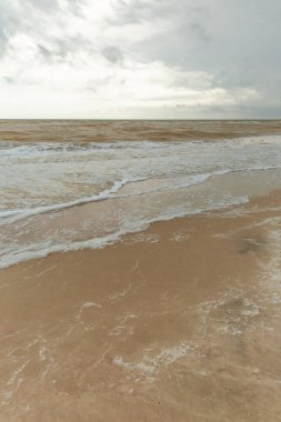 Kumsallı deniz manzarası ve sakin dalgalar