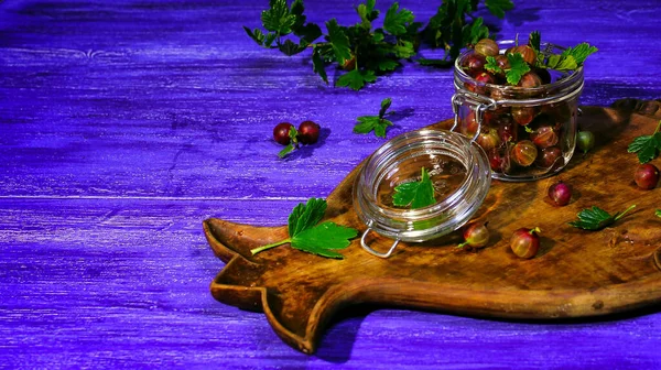 İlk hasat, dikenli dallı Bektaşi üzümü, seçici odaklı görüntü.
