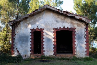 Ağaçlar arasında Korkunç dağ kulübesi Eski, boş ve terk edilmiş kulübe ev 