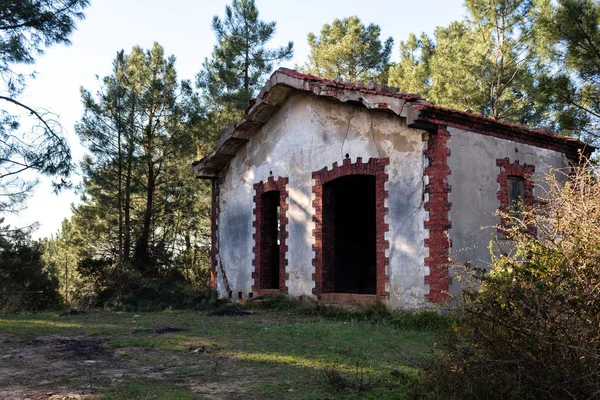 Cabana Montanha Assustadora Entre Árvores Casa Cabana Velha Vazia Abandonada — Fotografia de Stock