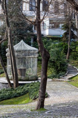 Taş kaldırım yolun ortasında bir ağaç ağaç gövdesi ortasında yol kaldırım 