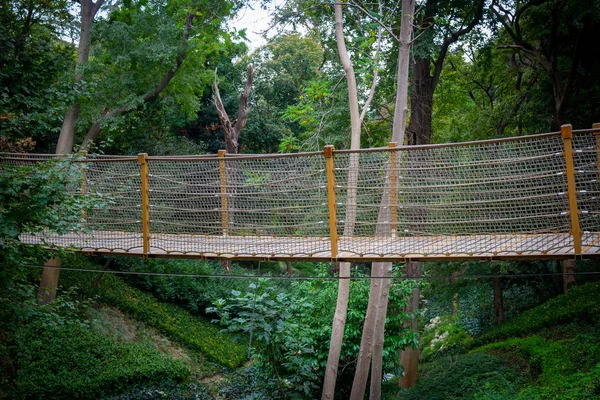 Rope bridge hanging among the trees, in the forest. Side view from outside