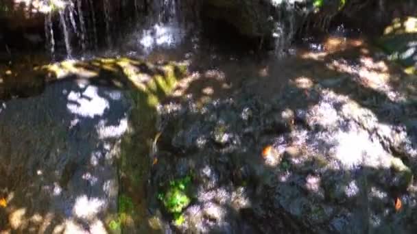 Eine Mini Bach Wasserfall Szene — Stockvideo