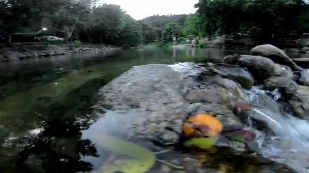 River Kiriwong Village Lan Saka District Kiriwong Village Nakhon Thammarat — стоковое видео