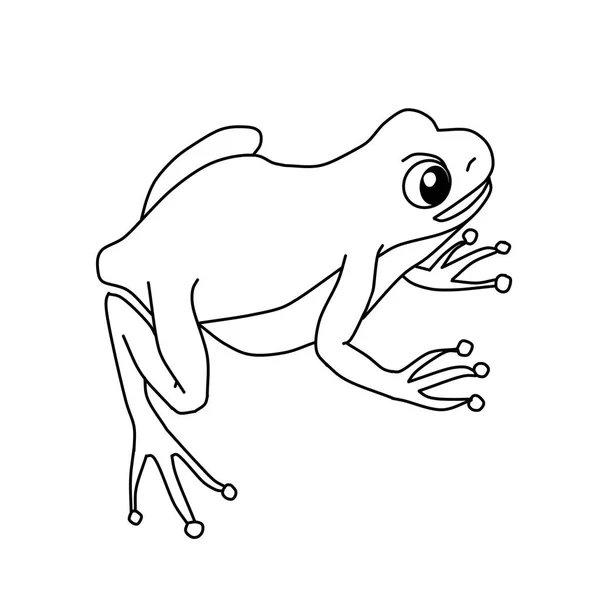 一只坐在白色背景上的绿色青蛙 — 图库矢量图片