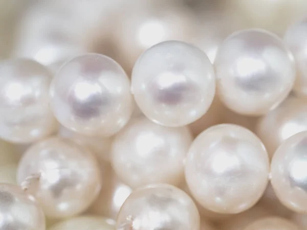 Textura perlas blancas . — Foto de Stock