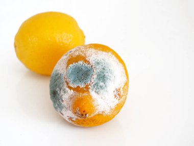 Beyaz arka planda bozulmuş limon