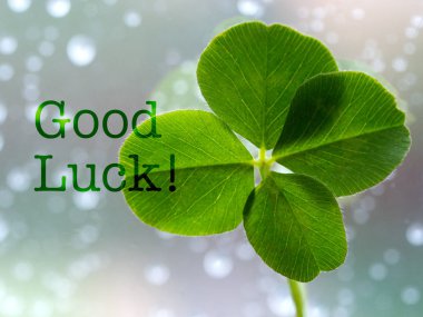 Good Luck - ilham verici motivasyon teklif