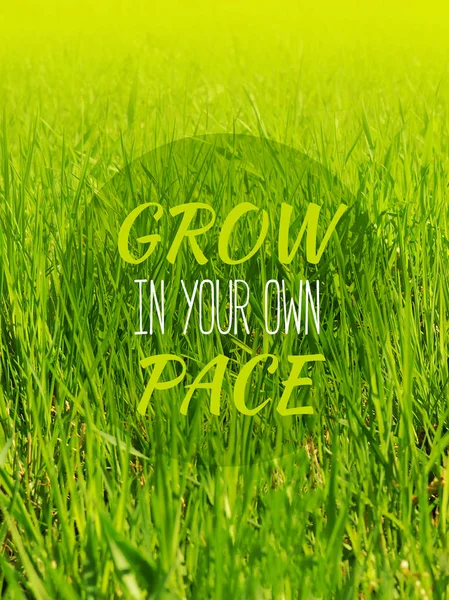 Grow in your own pace - inspirational motivation quote.