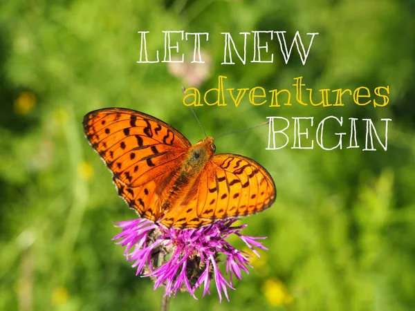 Que de nouvelles aventures commencent - motivation inspirante citation . — Photo