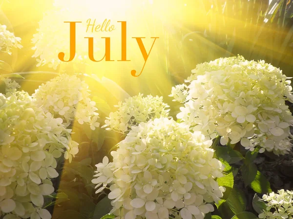 Hello July - inspirational motivation quote.