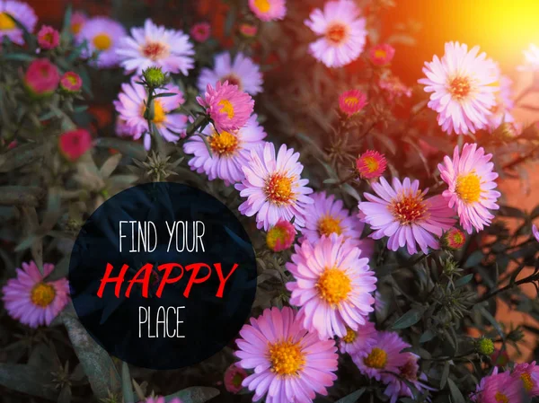 Find your happy place - inspirational motivation quote. — Stock Photo, Image
