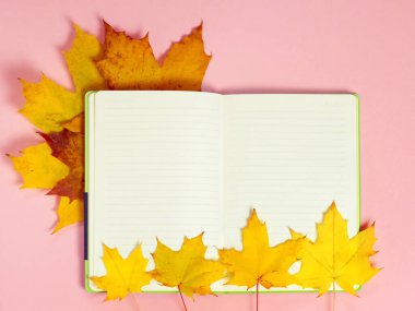 Parlak sonbahar akçaağaç yaprakları ve pembe kağıdın üzerinde boş bir defter. Mevsimlik sonbahar kompozisyonu, Şükran Günü konsepti. Yaratıcı düz çizgi, üst görünüm, boşluk kopyala.
