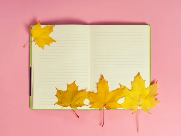 Feuilles Érable Automne Brillantes Avec Carnet Vierge Sur Fond Papier — Photo