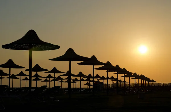 Altın Gün Batımında Plaj Şemsiyesiluetleri Telifsiz Stok Imajlar