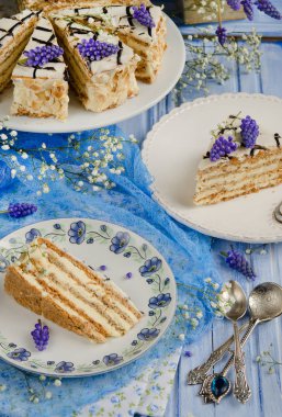 Sümbül, seçici odak beyaz-mavi zemin üzerine Esterhazy kek