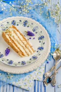 Sümbül, seçici odak beyaz-mavi zemin üzerine Esterhazy kek