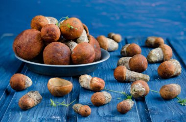 turuncu-kap boletus mantar veya ahşap zemin üzerinde aspen mantar