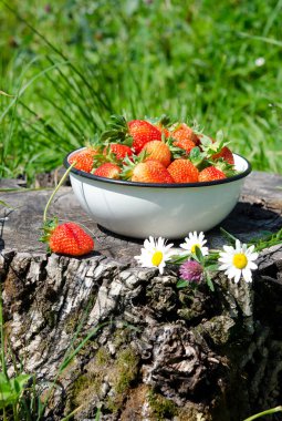 stump, seçici odak üzerinde kase taze çilek