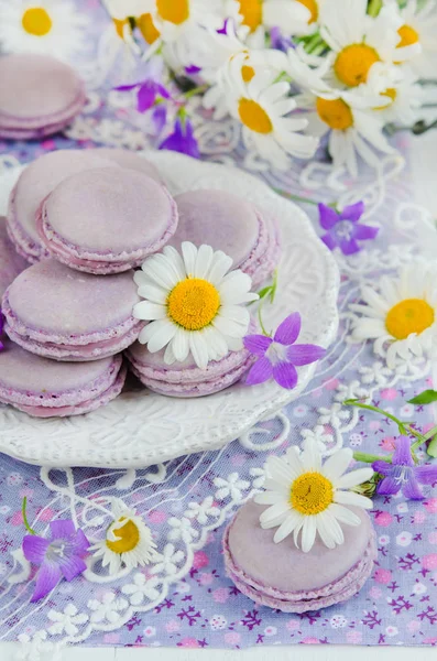 Фіолетові Макарони Квітковому Тлі Білими Ромашками — стокове фото
