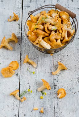 ahşap arka plan üzerinde lezzetli orman chanterelle mantar