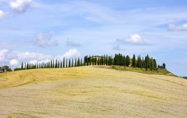 sıcak yaz gününde güzel alan manzara