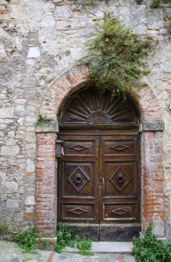 Yeşil bitkiler ile eski taş duvarda ahşap kapı 