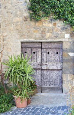 Yeşil bitkiler ile taş duvarda eski kuru kapı 