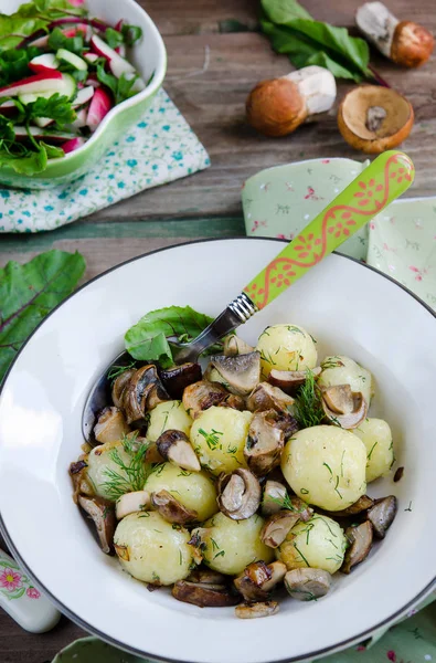 蘑菇和青菜煮土豆 — 图库照片